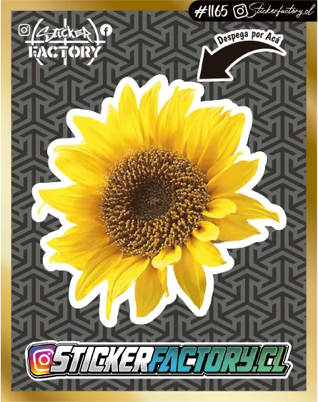 Sticker GIRASOL #1165