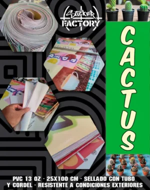 PENDON | CACTUS #PV123