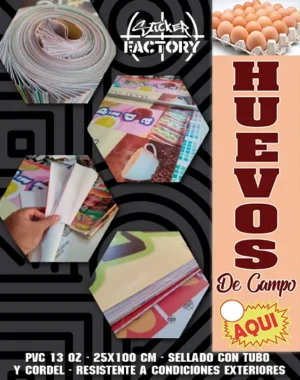 PENDON | HUEVOS DE CAMPO #PV173