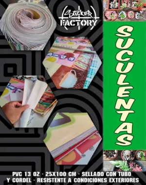 PENDON | SUCULENTAS #PV259