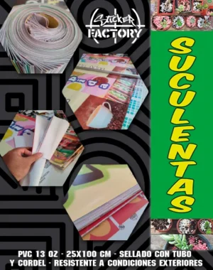 PENDON | SUCULENTAS #PV260